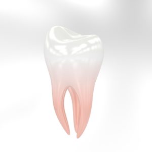 tooth that has experienced toothache